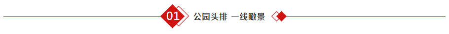 1641867396.png